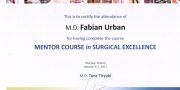 Fabian Urban - Certificate - Mentor course - Warsaw 2017