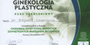 Certyficate - Krzysztof Czopkiewicz - Plastic surgeon